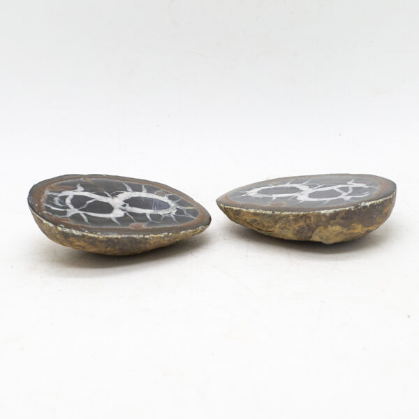 septarian nodule pair