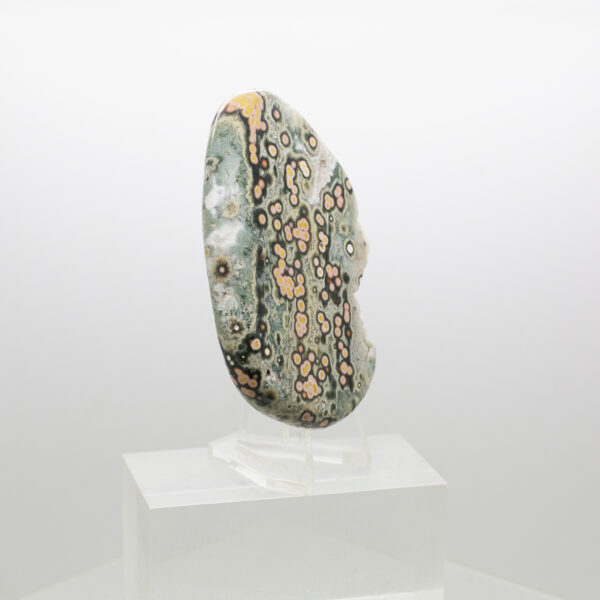 ocean jasper slice