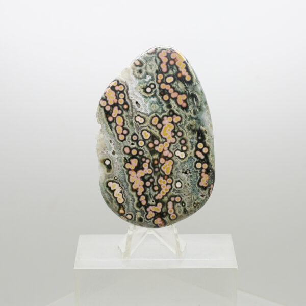 ocean jasper slice