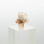 aragonite cluster