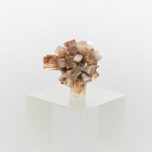 aragonite cluster