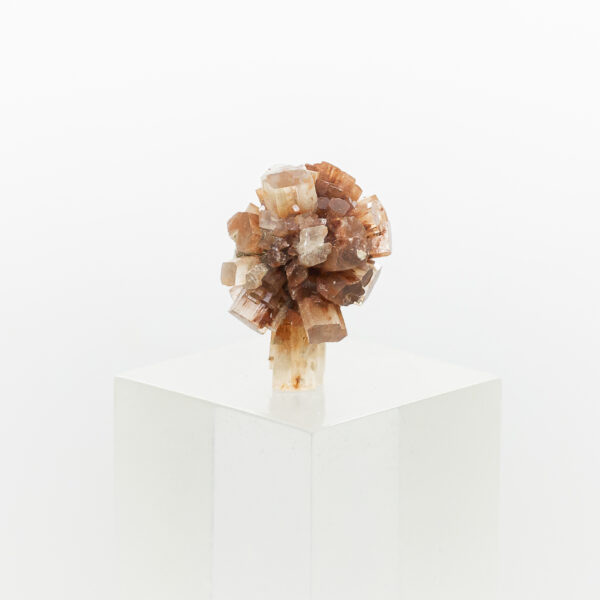 aragonite cluster