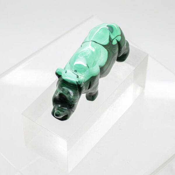 malachite rhinoceros