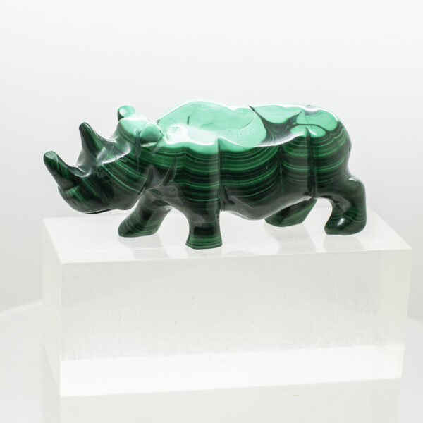 malachite rhinoceros