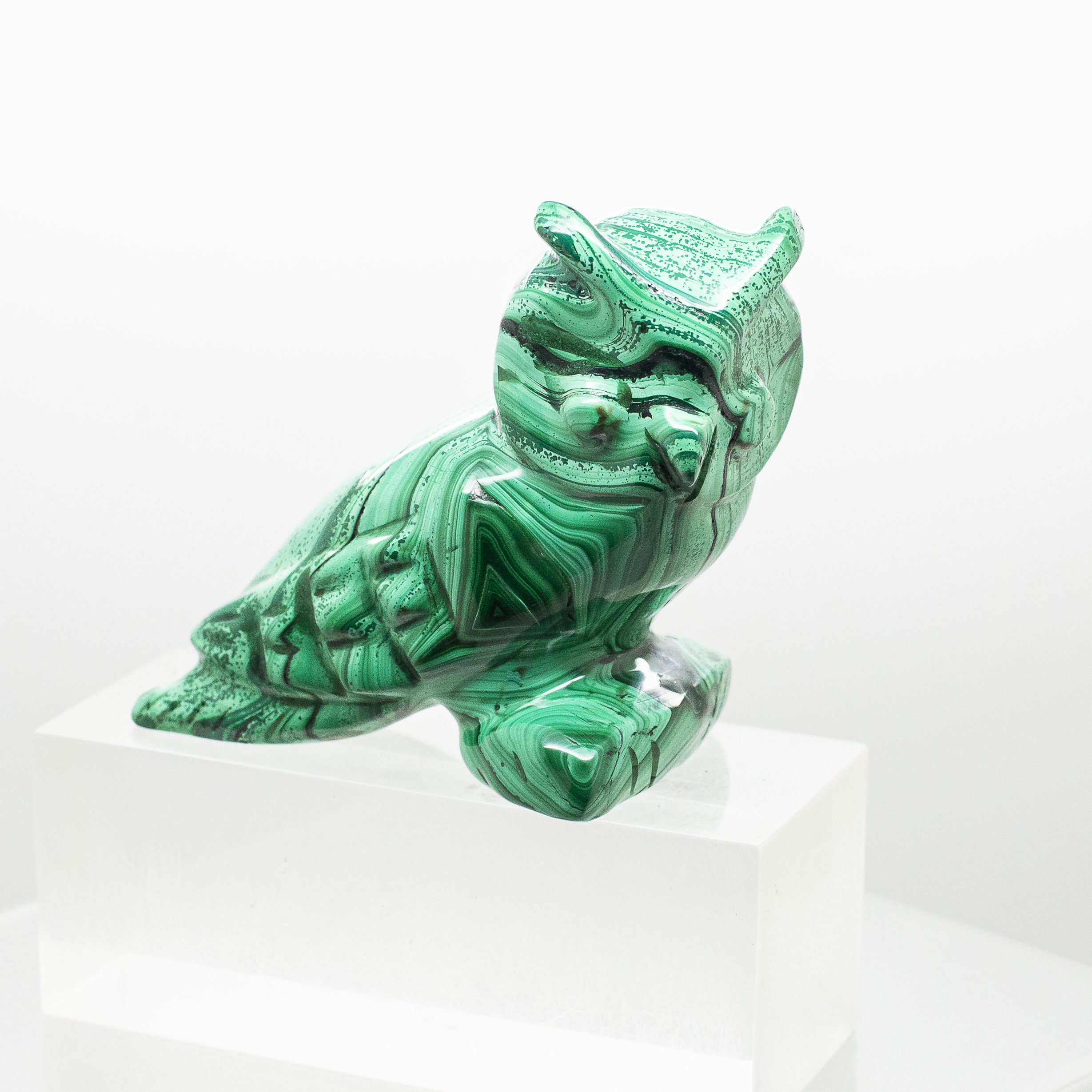 malachite owl