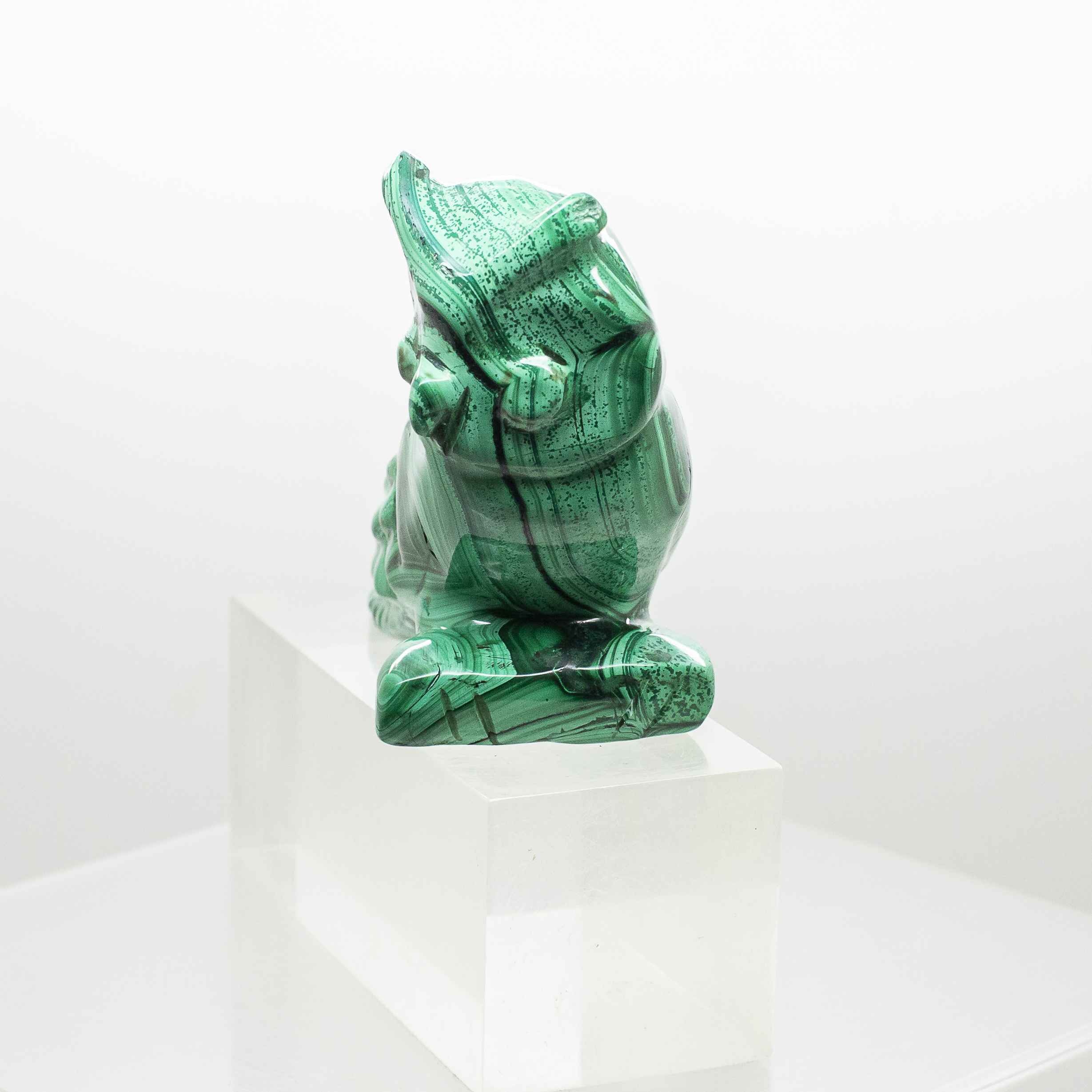 malachite owl