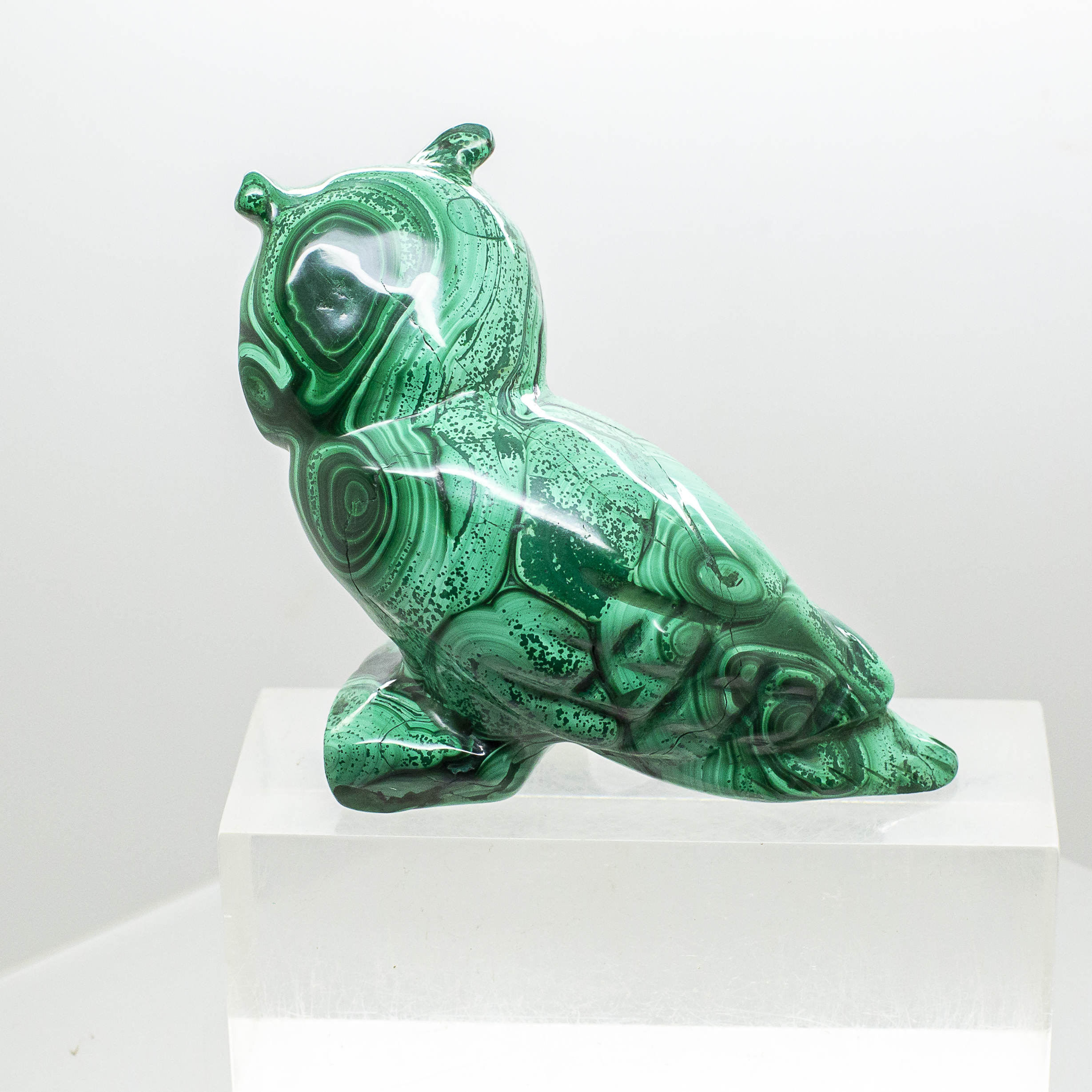 malachite owl