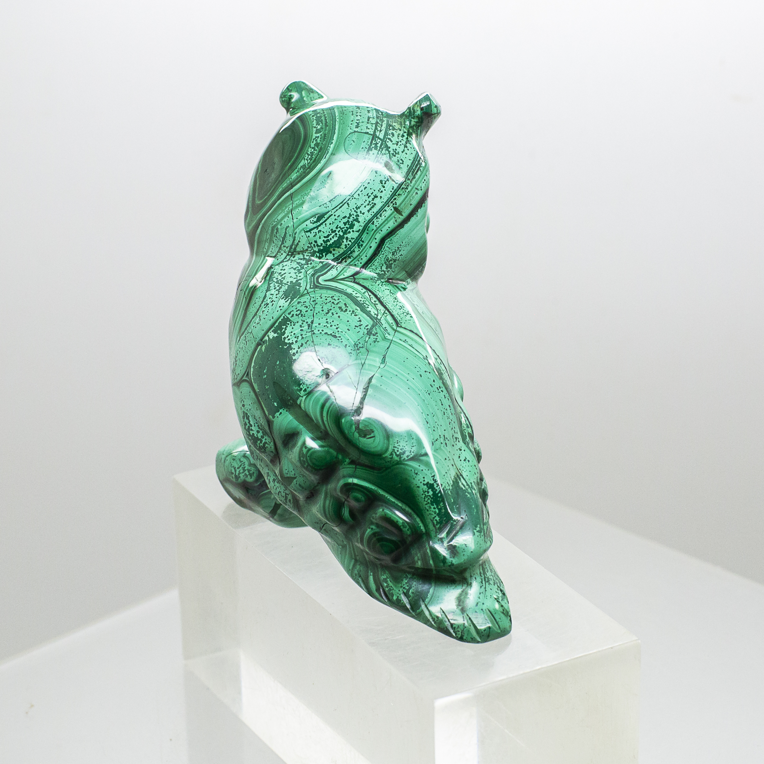 malachite owl