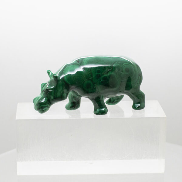 malachite hippo