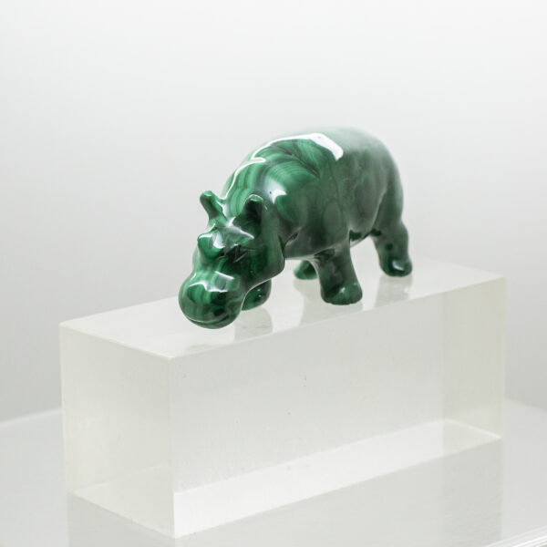 malachite hippo