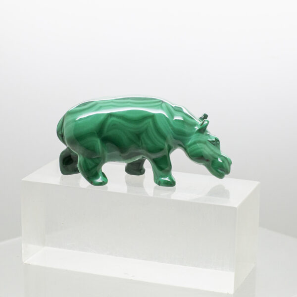 malachite hippo