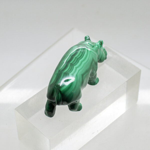 malachite hippo