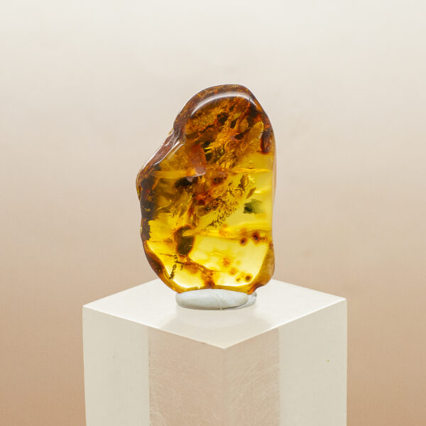 baltic amber