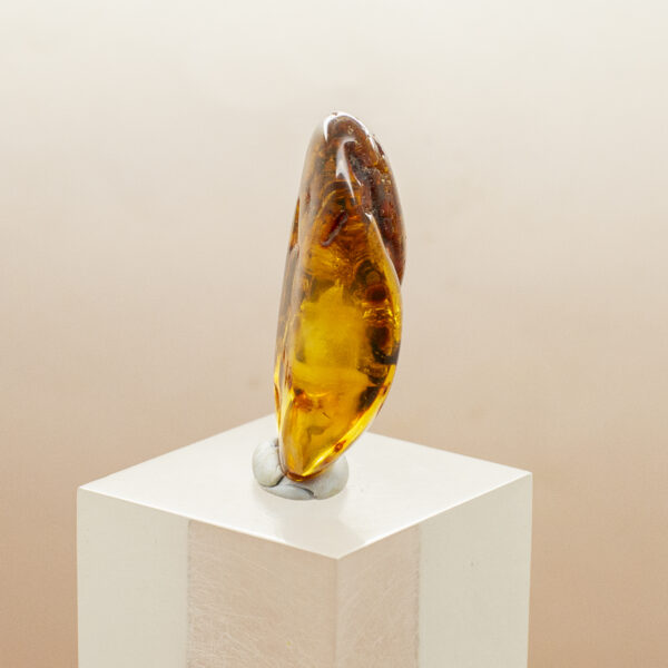 baltic amber