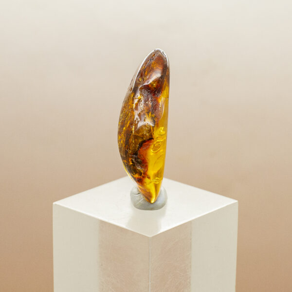 baltic amber