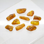 baltic amber pieces