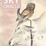 land sky oracle