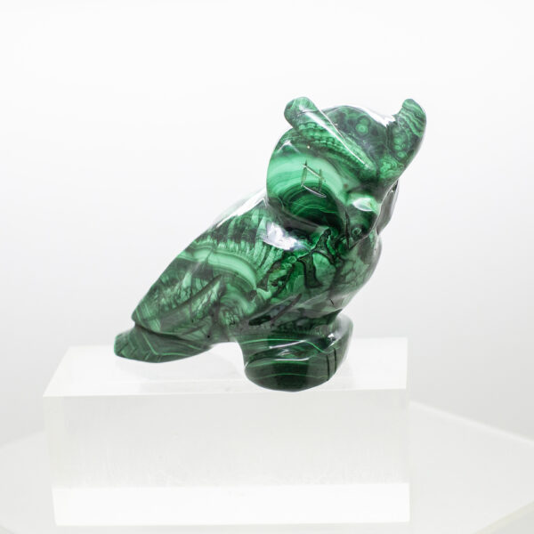 malachite owl