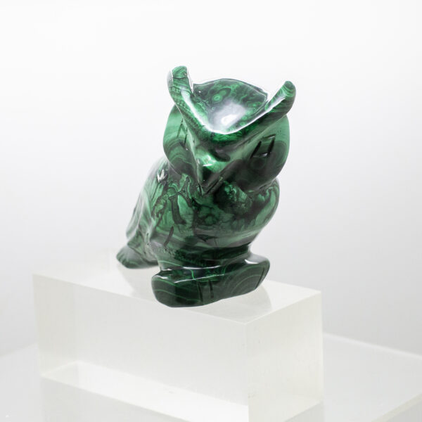 malachite owl