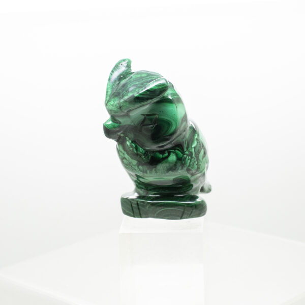 malachite owl