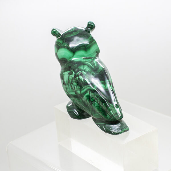 malachite owl