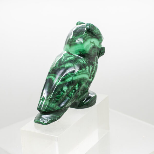 malachite owl