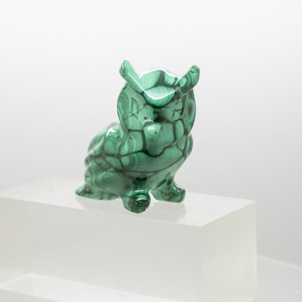 malachite owl