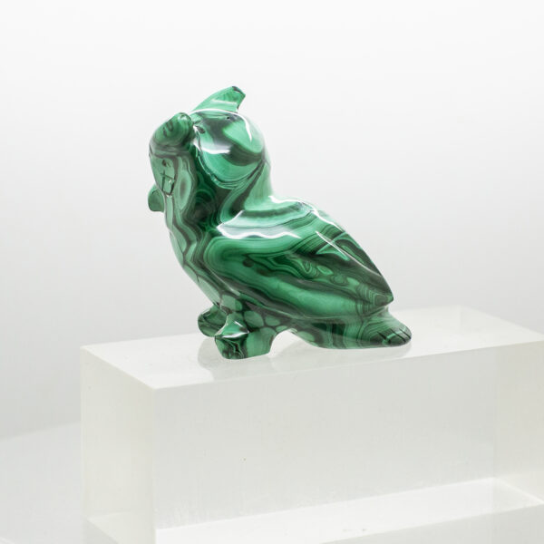 malachite owl