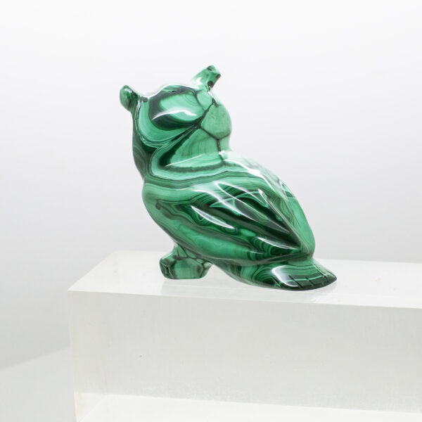 malachite owl