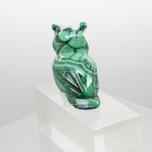 malachite owl