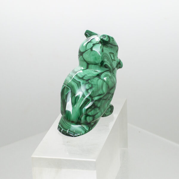 malachite owl