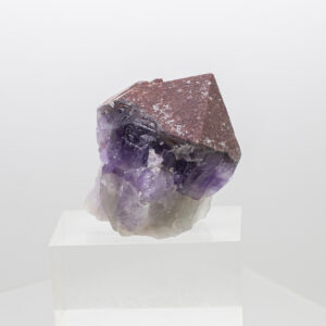 auralite 23 (copy)