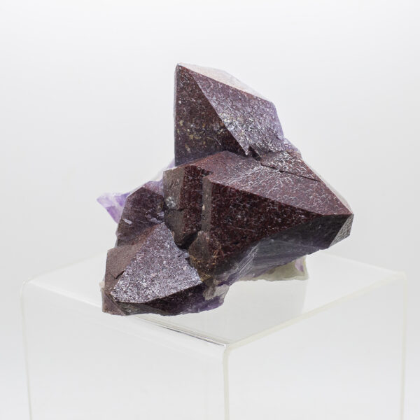 auralite 23