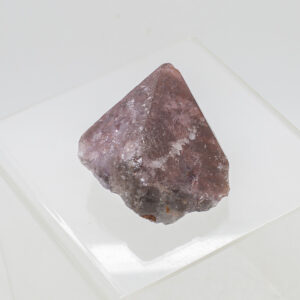 auralite 23
