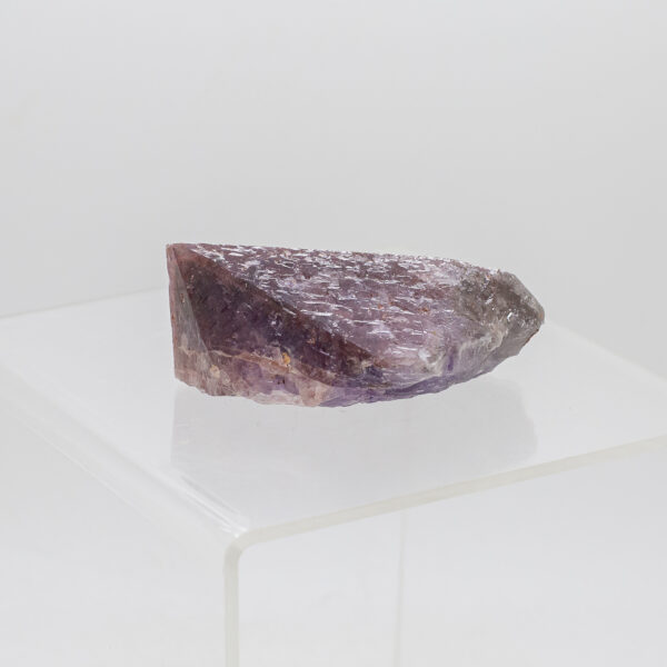 auralite 23