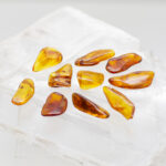 baltic amber pieces