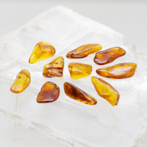 baltic amber pieces