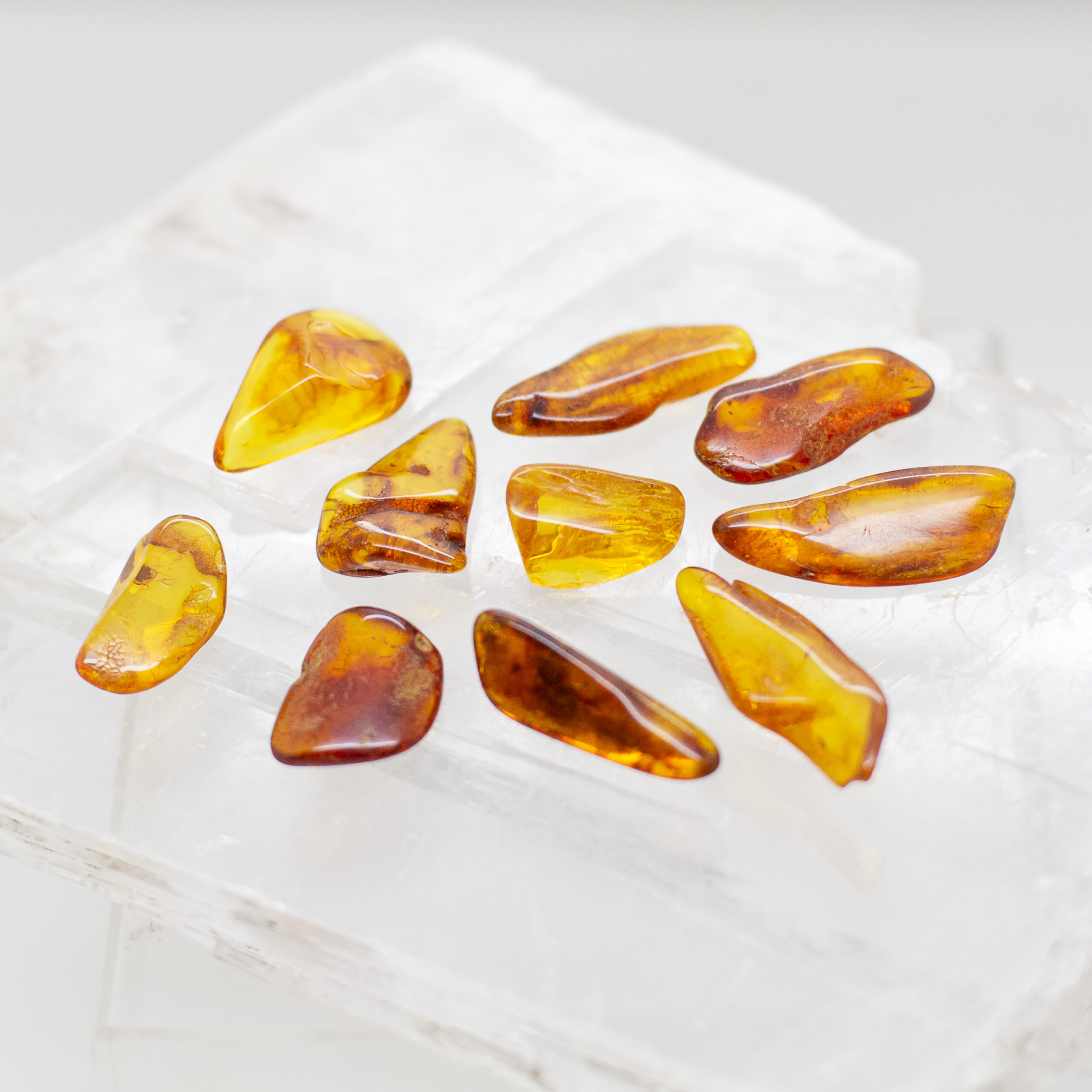 baltic amber pieces