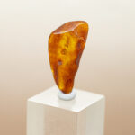 baltic amber (copy)
