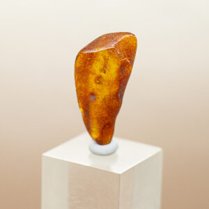 baltic amber (copy)