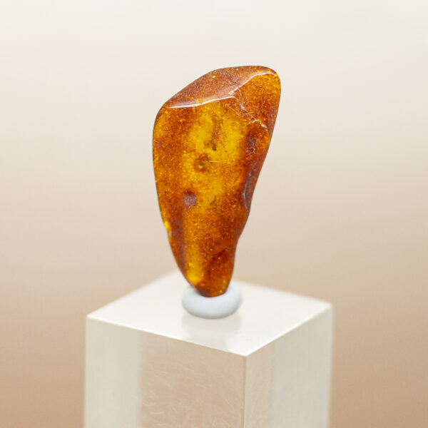 baltic amber (copy)
