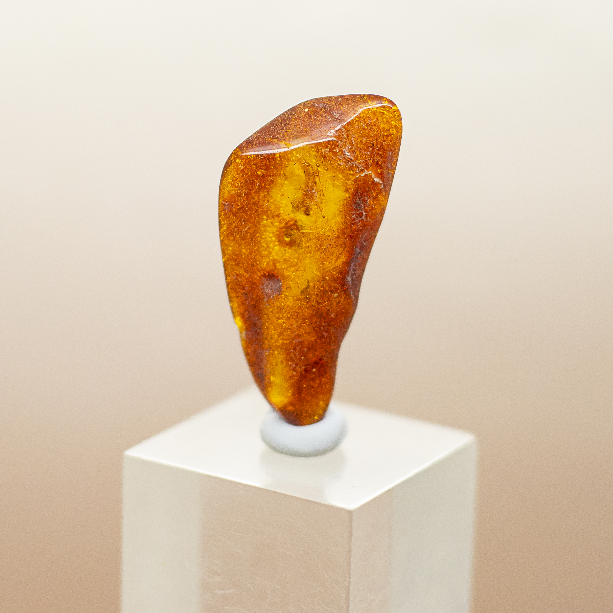 baltic amber (copy)