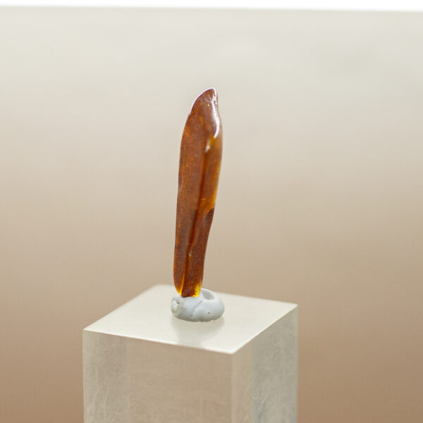 baltic amber