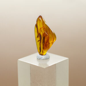 baltic amber