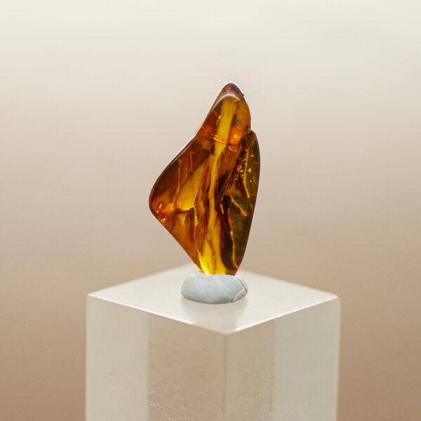 baltic amber