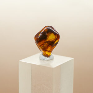 baltic amber
