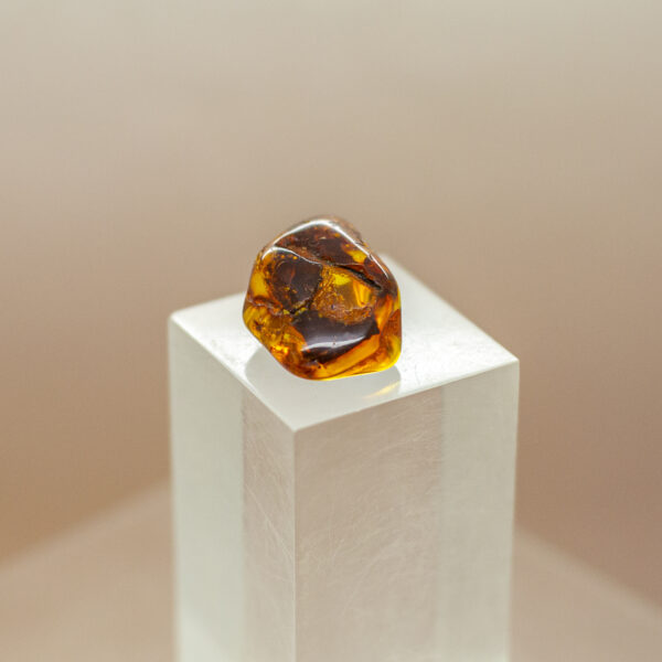 baltic amber