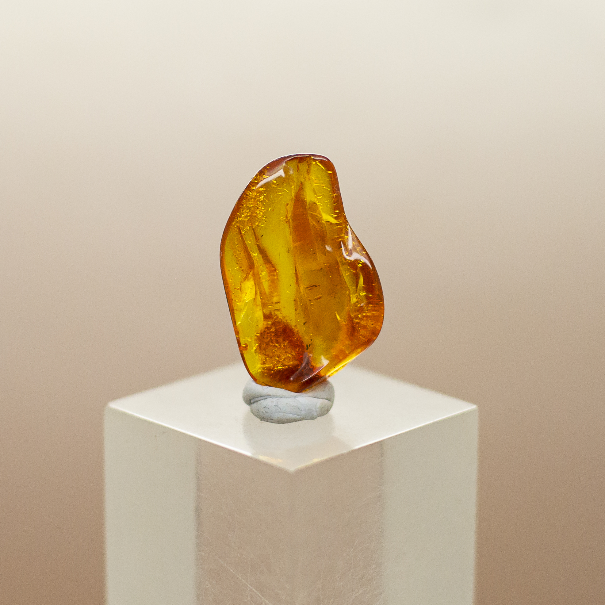 baltic amber baltic amber