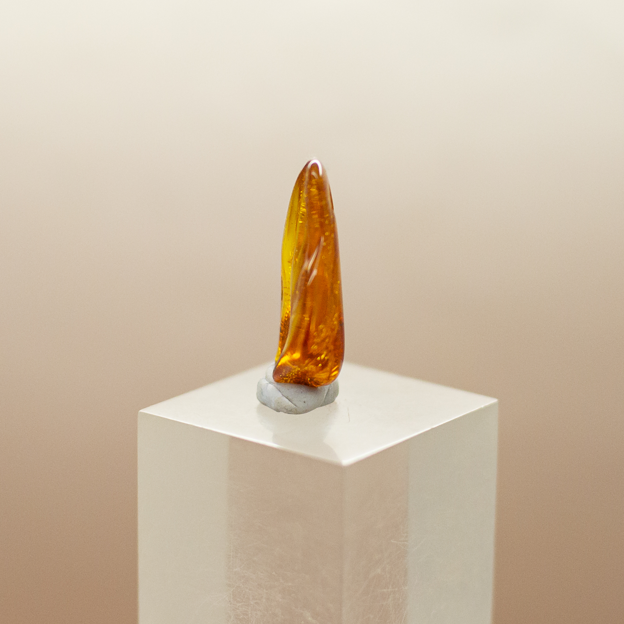 baltic amber