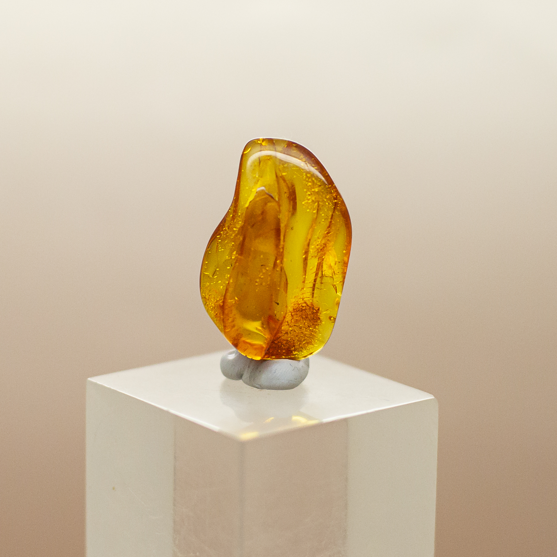 baltic amber